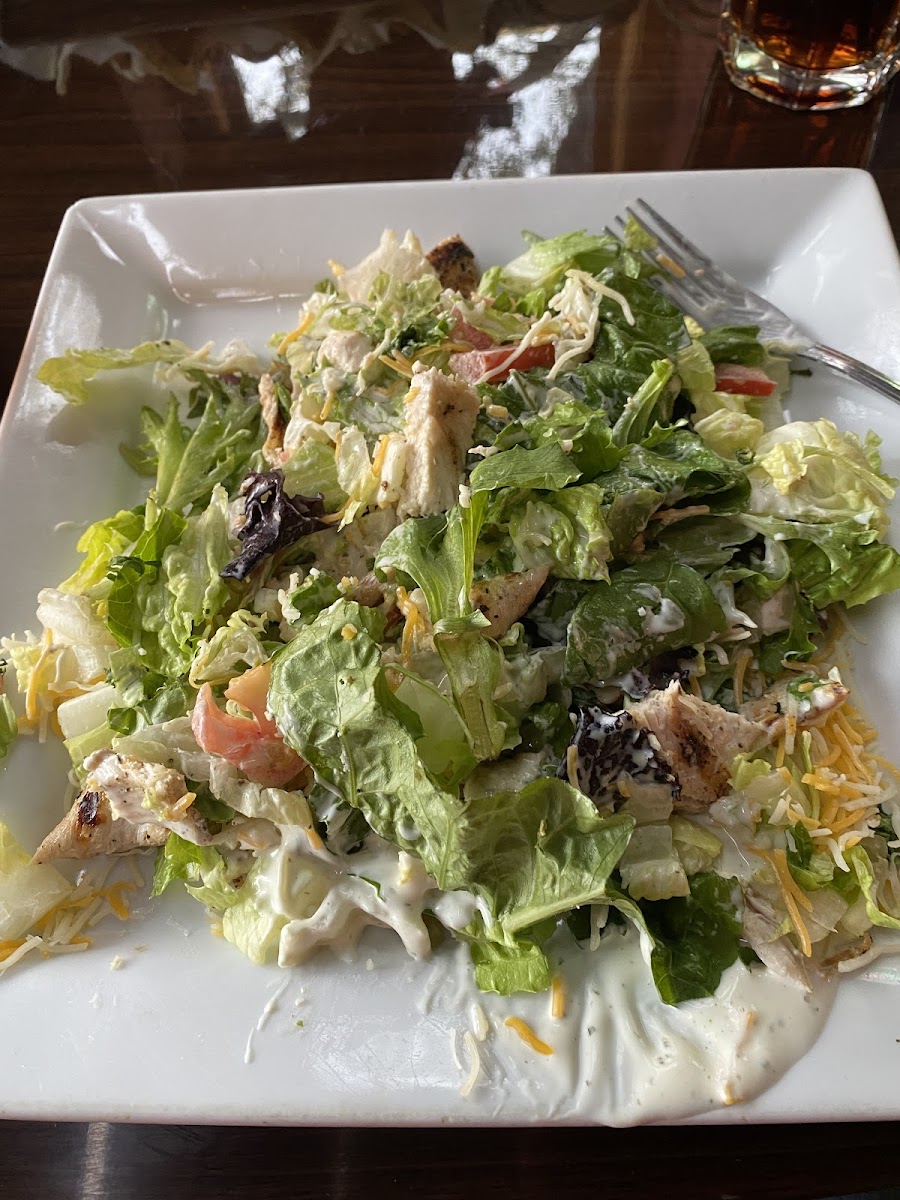 Black Cat Cafe Photos 2